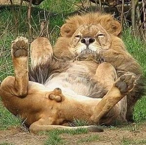 Meet your Posher, Larry